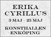 Enköpings konsthall