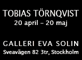 Galleri Eva Solin